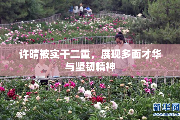 许晴被实干二重，展现多面才华与坚韧精神