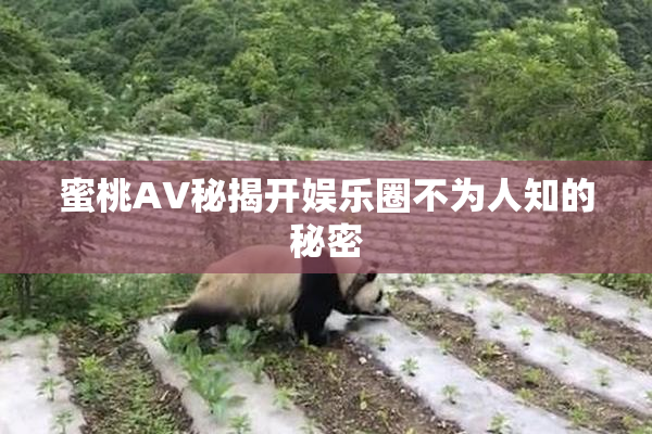蜜桃AV秘揭开娱乐圈不为人知的秘密