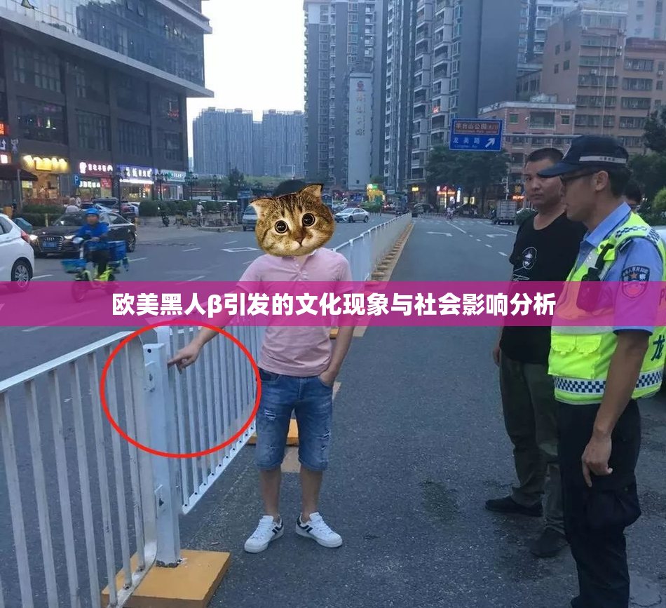 欧美黑人β引发的文化现象与社会影响分析