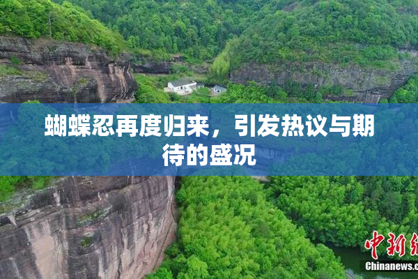 蝴蝶忍再度归来，引发热议与期待的盛况