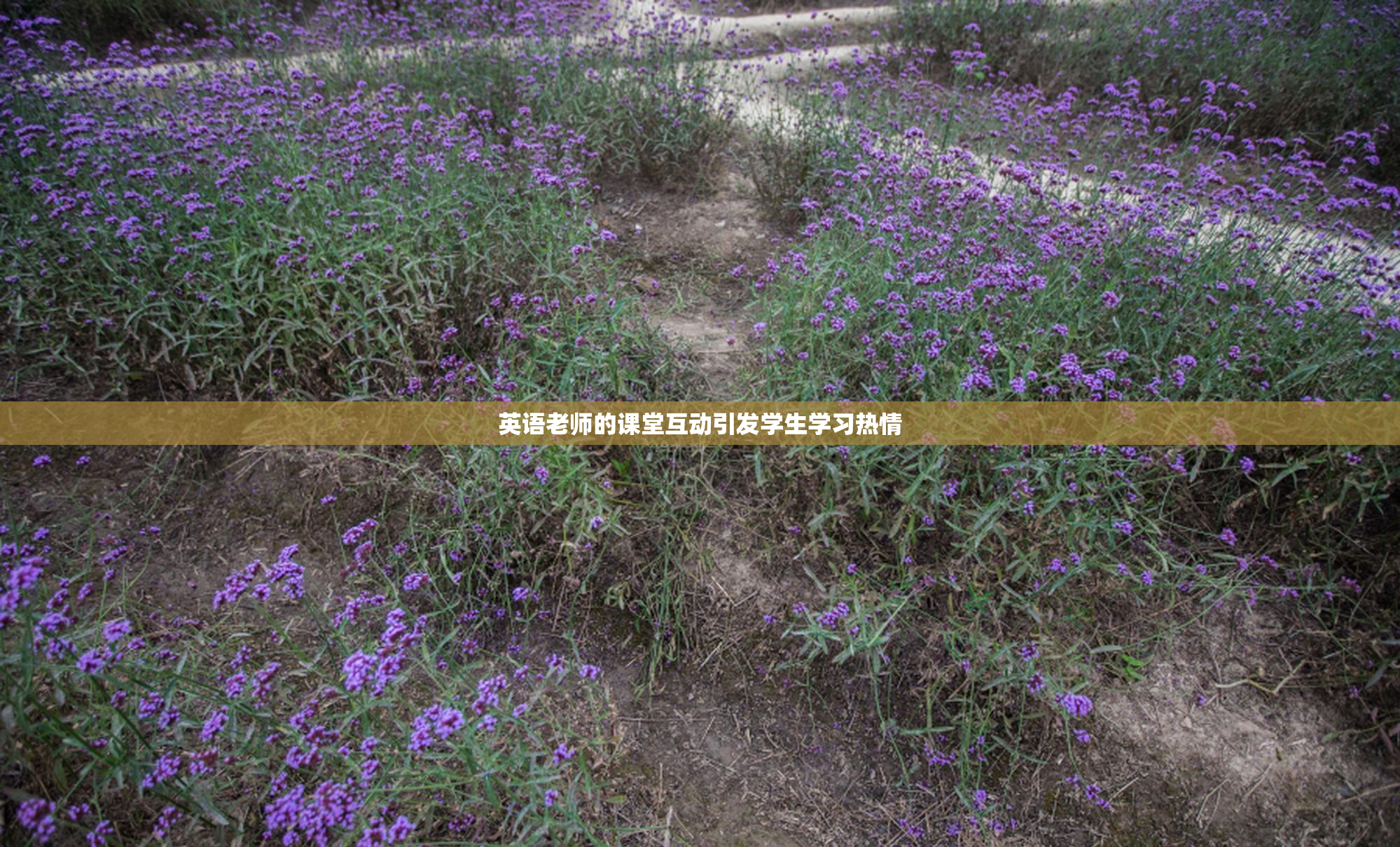 英语老师的课堂互动引发学生学习热情