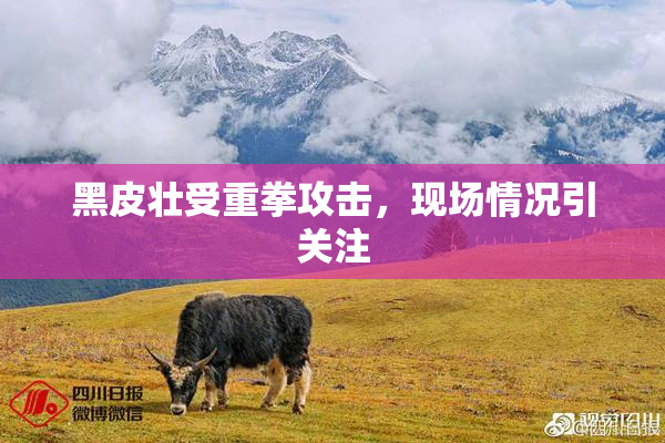 黑皮壮受重拳攻击，现场情况引关注