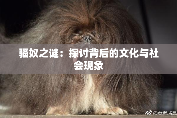 骚奴之谜：探讨背后的文化与社会现象