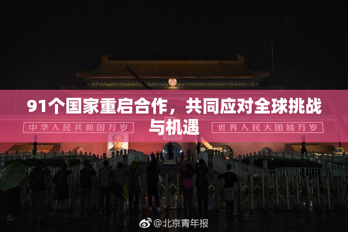 91个国家重启合作，共同应对全球挑战与机遇