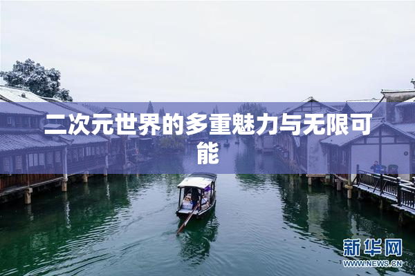二次元世界的多重魅力与无限可能