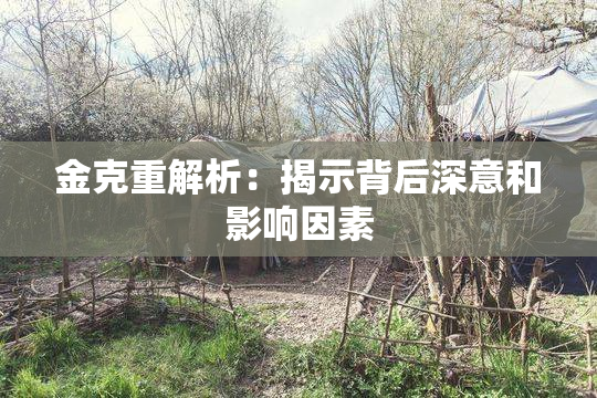 金克重解析：揭示背后深意和影响因素