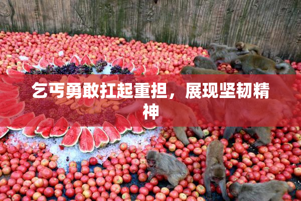乞丐勇敢扛起重担，展现坚韧精神