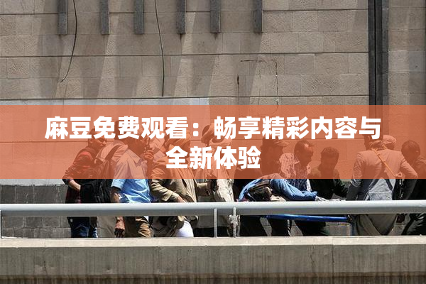 麻豆免费观看：畅享精彩内容与全新体验