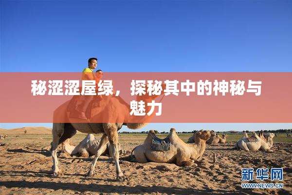 秘涩涩屋绿，探秘其中的神秘与魅力