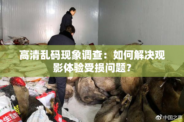 高清乱码现象调查：如何解决观影体验受损问题？
