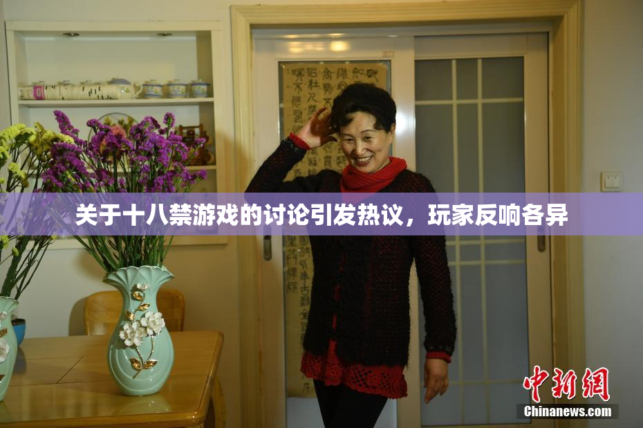 关于十八禁游戏的讨论引发热议，玩家反响各异