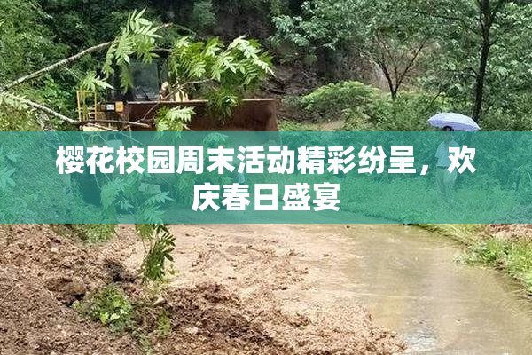 樱花校园周末活动精彩纷呈，欢庆春日盛宴