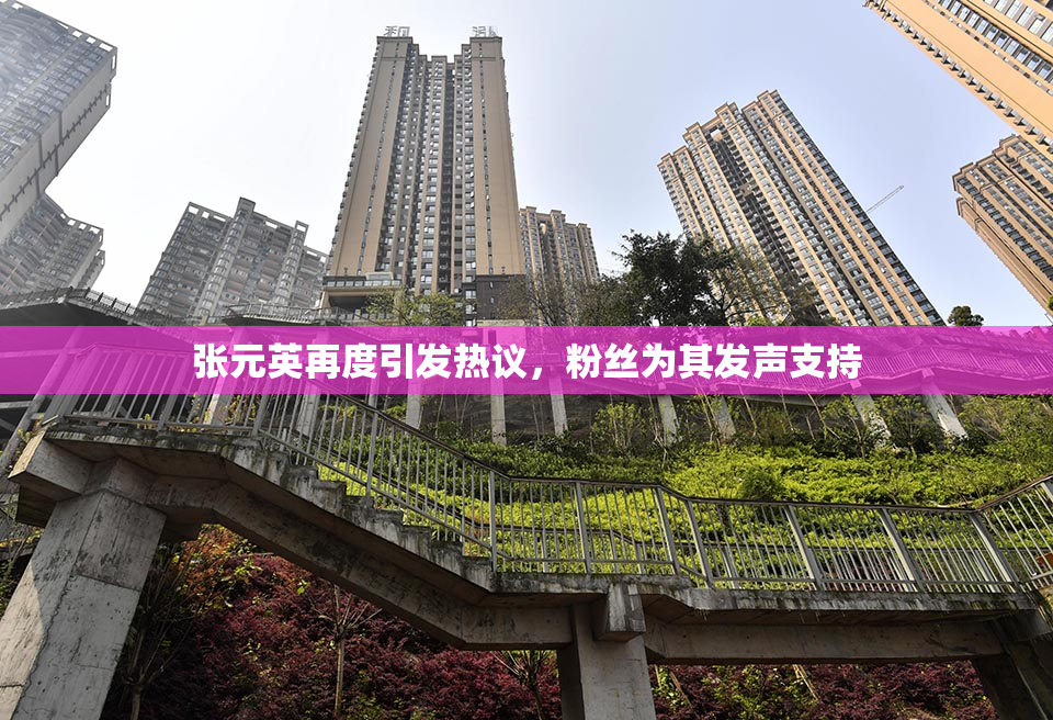 张元英再度引发热议，粉丝为其发声支持