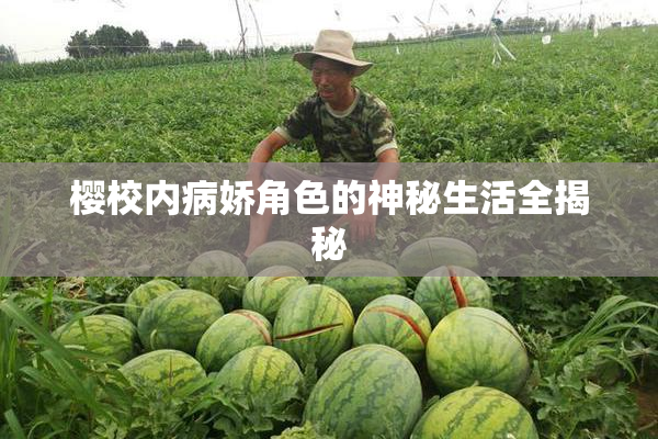 樱校内病娇角色的神秘生活全揭秘
