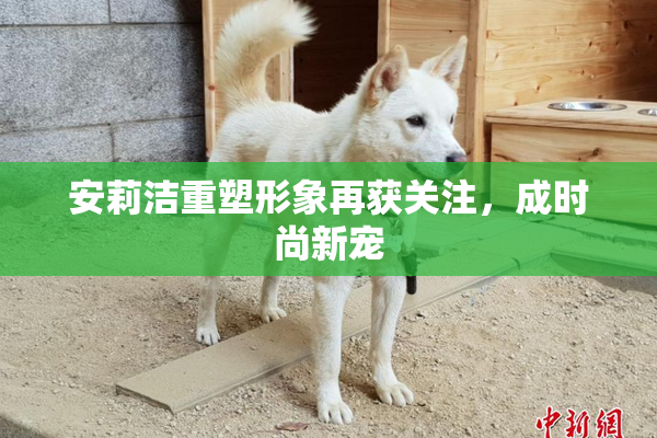 安莉洁重塑形象再获关注，成时尚新宠