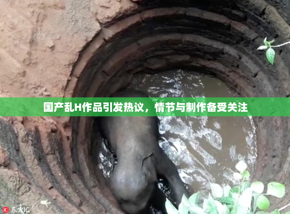 国产乱H作品引发热议，情节与制作备受关注