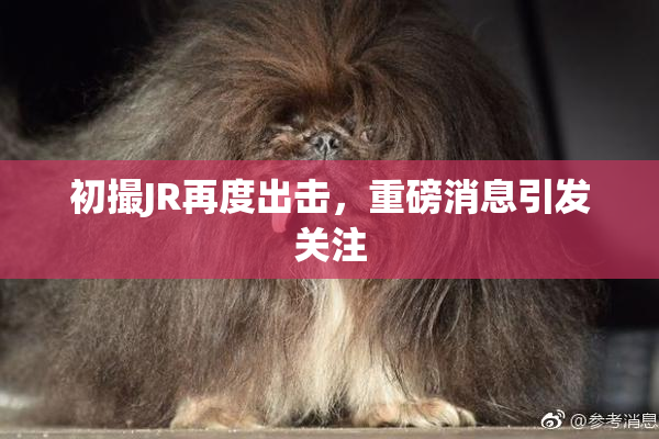 初撮JR再度出击，重磅消息引发关注