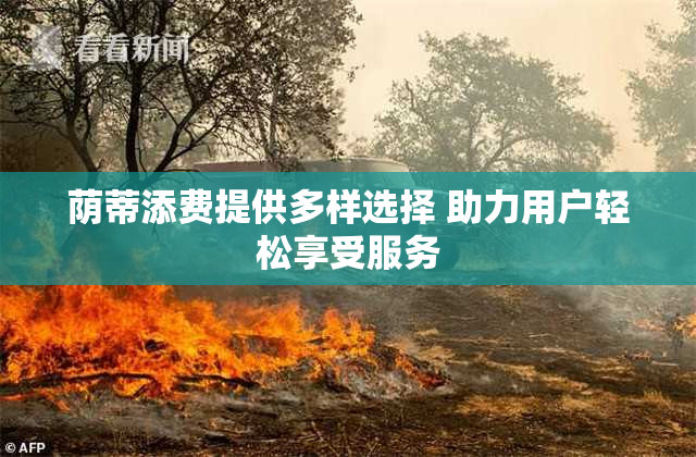 荫蒂添费提供多样选择 助力用户轻松享受服务