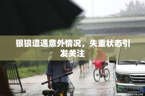 银狼遭遇意外情况，失重状态引发关注