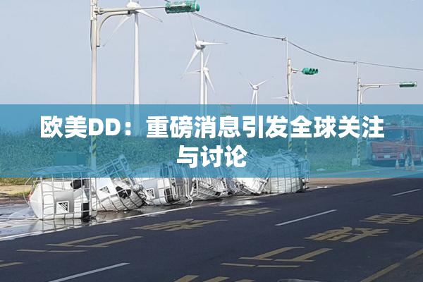 欧美DD：重磅消息引发全球关注与讨论