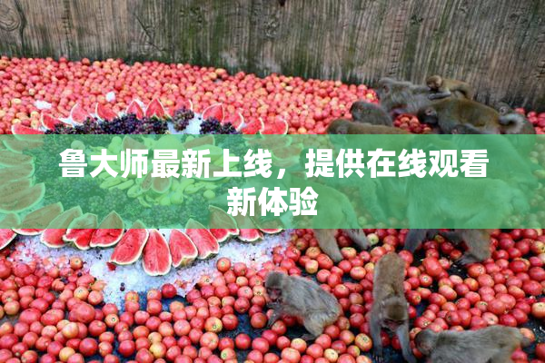 鲁大师最新上线，提供在线观看新体验