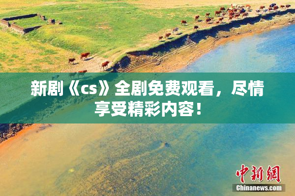 新剧《cs》全剧免费观看，尽情享受精彩内容！