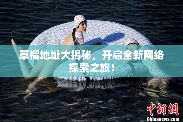 草榴地址大揭秘，开启全新网络探索之旅！