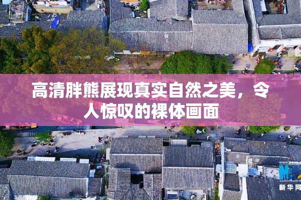 高清胖熊展现真实自然之美，令人惊叹的裸体画面