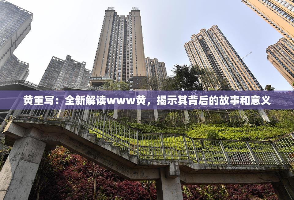 黄重写：全新解读www黄，揭示其背后的故事和意义