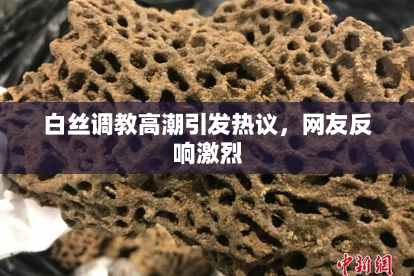 白丝调教高潮引发热议，网友反响激烈