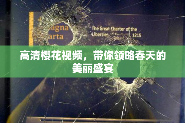 高清樱花视频，带你领略春天的美丽盛宴
