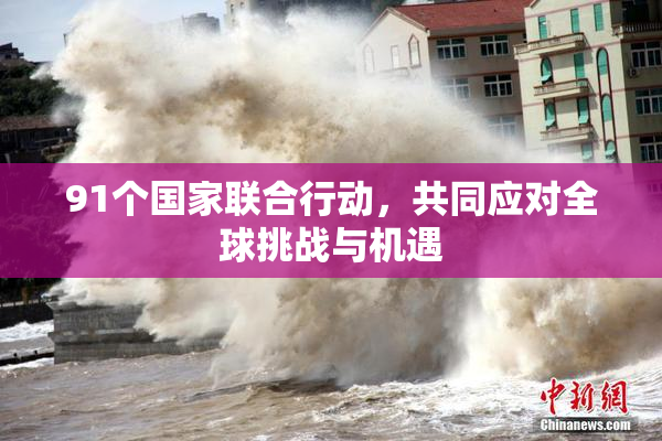 91个国家联合行动，共同应对全球挑战与机遇