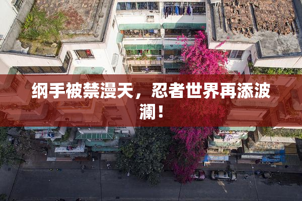 纲手被禁漫天，忍者世界再添波澜！