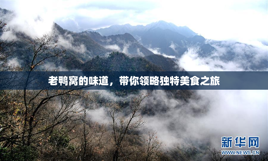 老鸭窝的味道，带你领略独特美食之旅