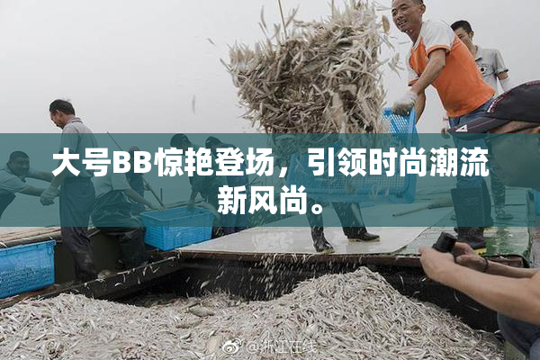 大号BB惊艳登场，引领时尚潮流新风尚。