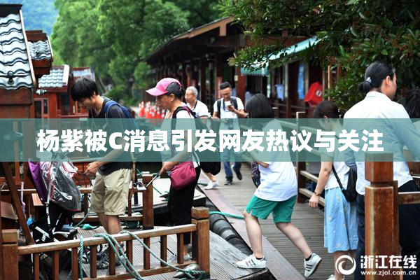 杨紫被C消息引发网友热议与关注