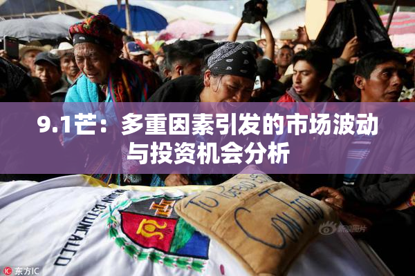 9.1芒：多重因素引发的市场波动与投资机会分析