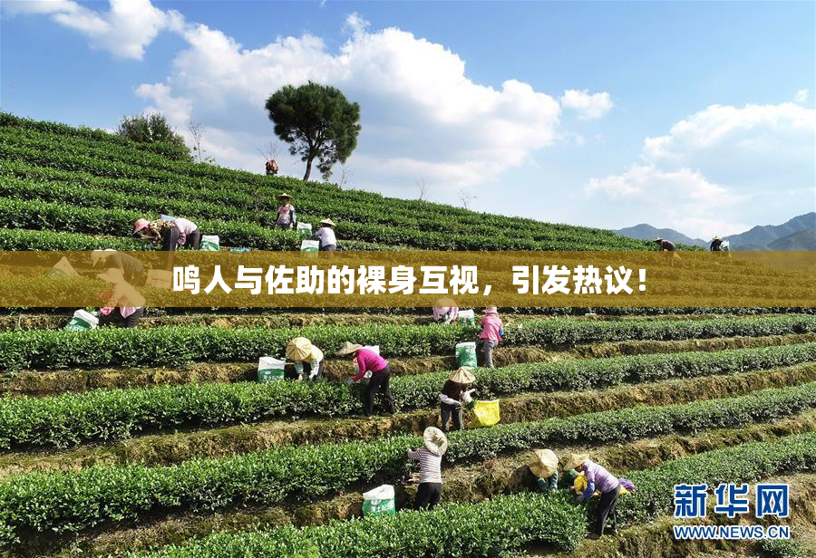 鸣人与佐助的裸身互视，引发热议！