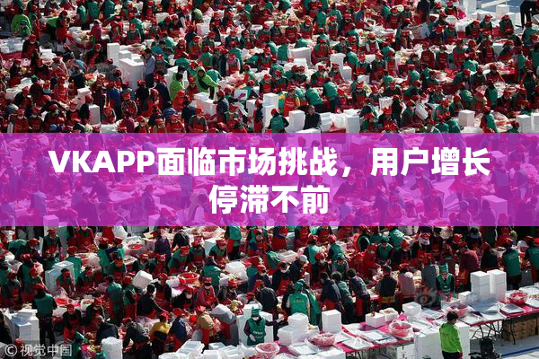 VKAPP面临市场挑战，用户增长停滞不前
