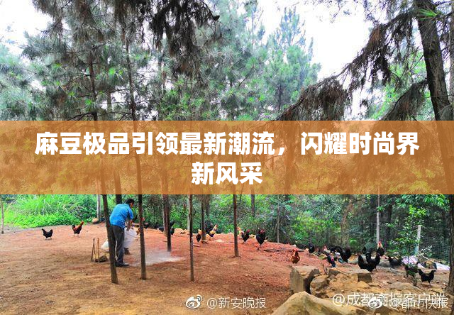 麻豆极品引领最新潮流，闪耀时尚界新风采