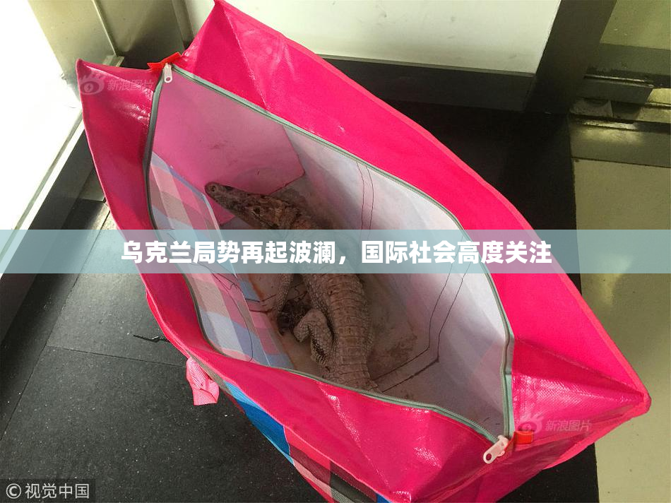 乌克兰局势再起波澜，国际社会高度关注