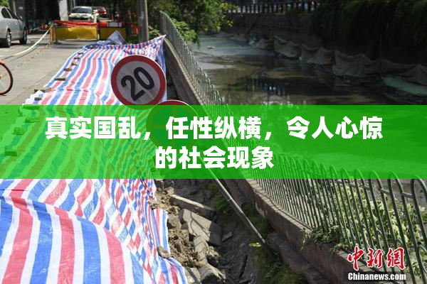真实国乱，任性纵横，令人心惊的社会现象