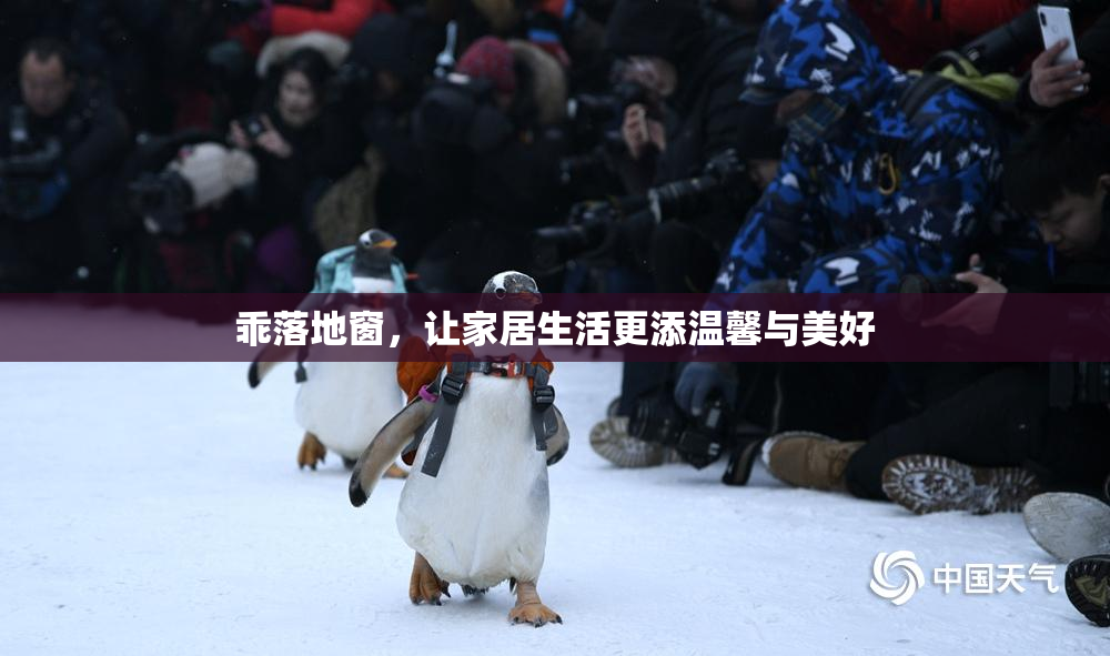 乖落地窗，让家居生活更添温馨与美好