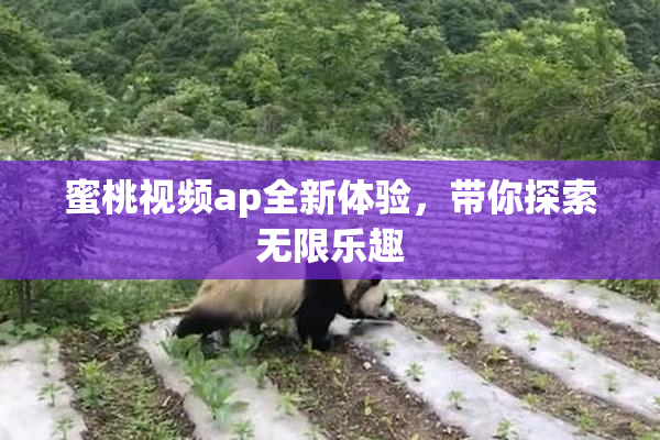 蜜桃视频ap全新体验，带你探索无限乐趣
