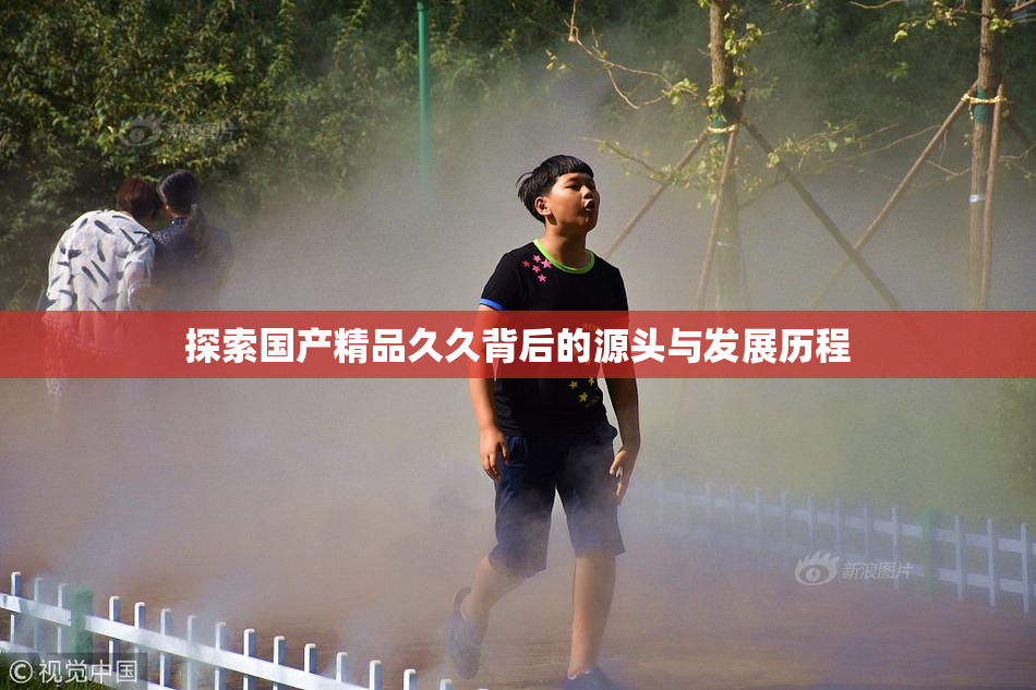 探索国产精品久久背后的源头与发展历程
