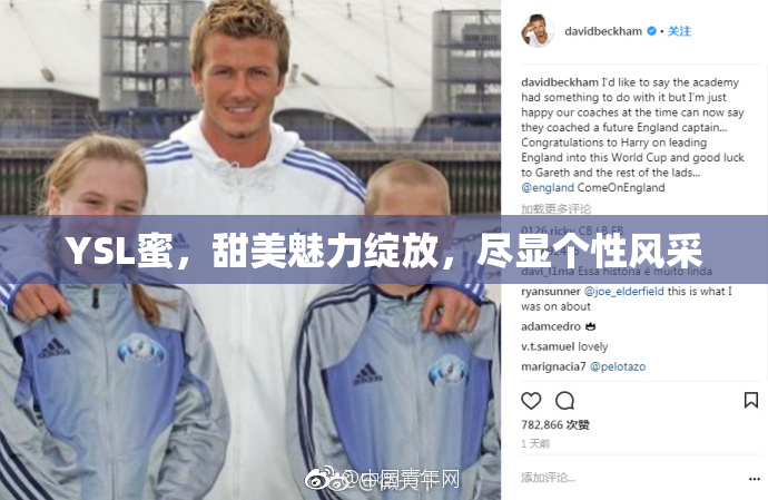 YSL蜜，甜美魅力绽放，尽显个性风采