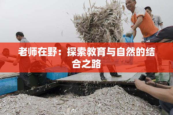 老师在野：探索教育与自然的结合之路