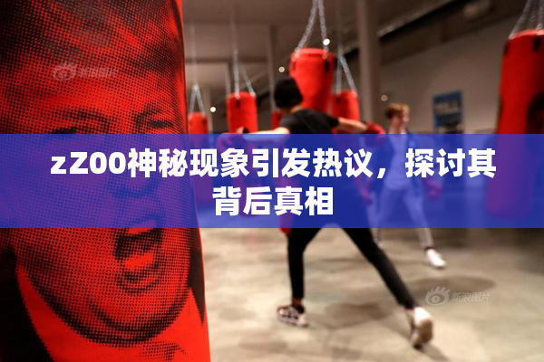 zZ00神秘现象引发热议，探讨其背后真相