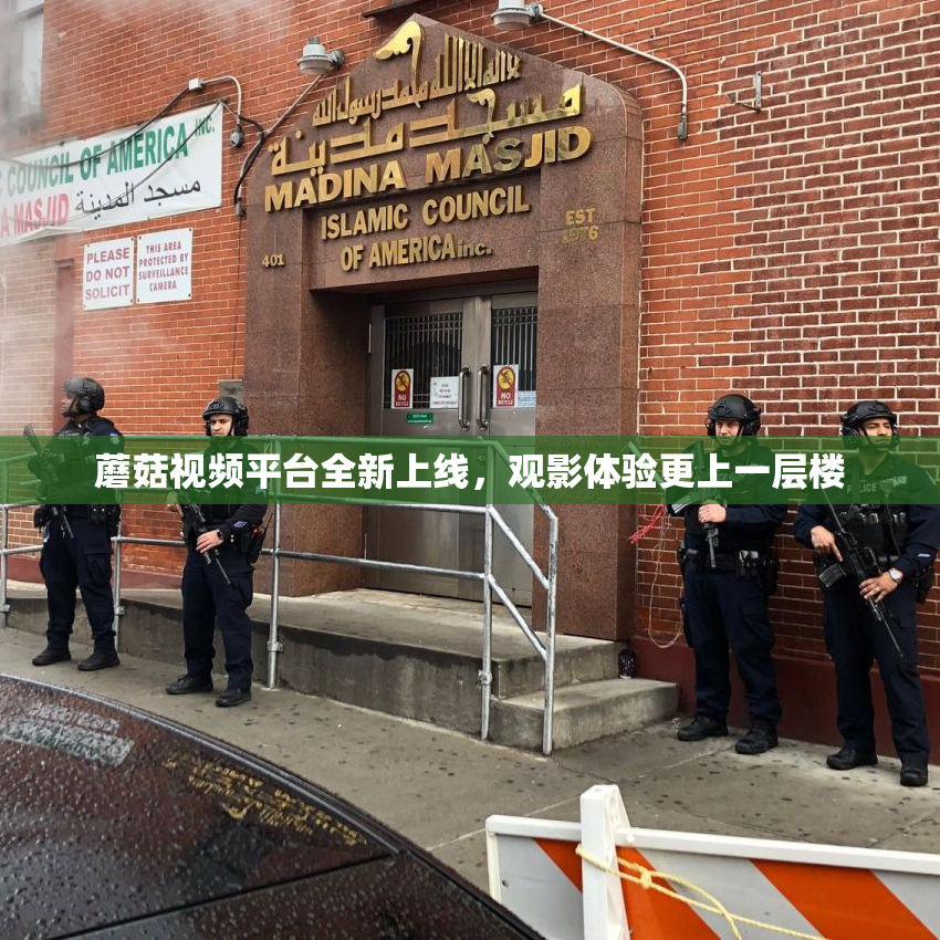 蘑菇视频平台全新上线，观影体验更上一层楼