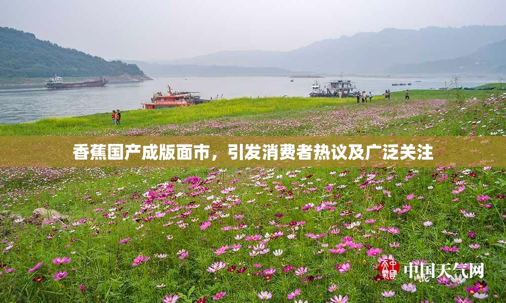 香蕉国产成版面市，引发消费者热议及广泛关注